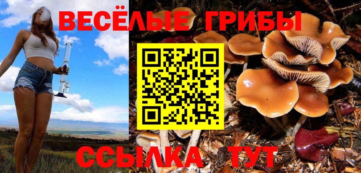 Псилоцибиновые грибы GOLDEN TEACHER  Вход с VPN  Галлюциногенные грибы GOLDEN TEACHER  Надым 